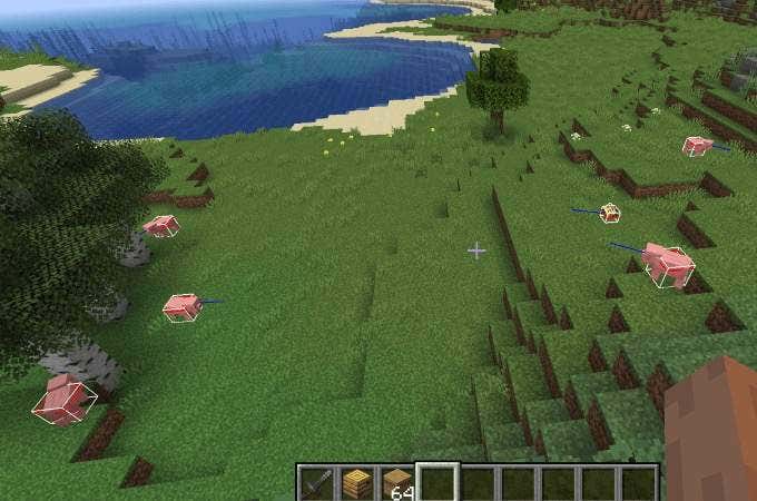 6 Advanced Tooltips in Minecraft to Up Your Game image 5