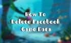 How To Delete Facebook Game Data image